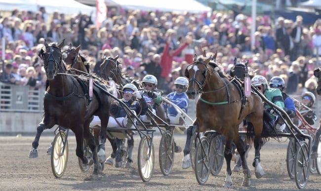 Nuncio and Örjan Kihlström (left) took the lead with 100 meters to go, and held off his U.S. counterpart Resolve at the wire to win the Elitlopp on Sunday at Solvalla | Kanal75
