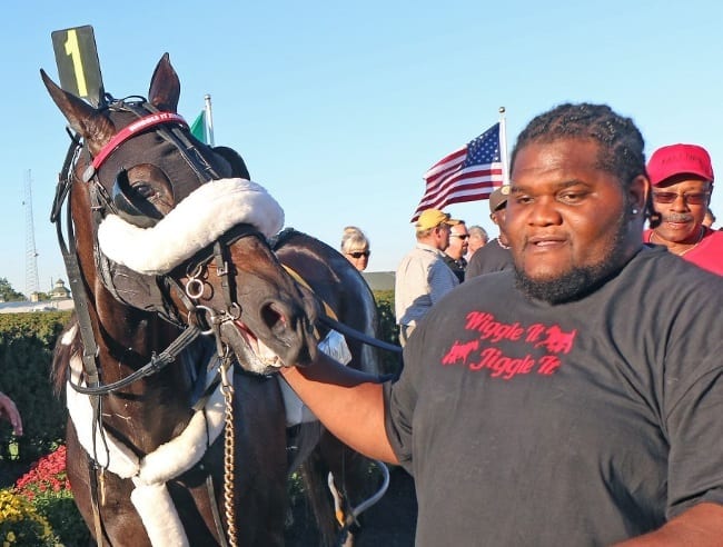 Wiggle It Jiggleit (with caretaker Mike Taylor) helped elevate Indiana-sired horses when he won the 2015 Little Brown Jug en route to Horse of the Year honors | Mark Hall / USTA

