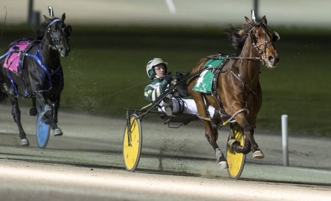 Despite a chilly night with front-runners fading, Yannick Gingras went gate-to-wire with Rockin Ron to win the Confederation Cup | Dave Landry
