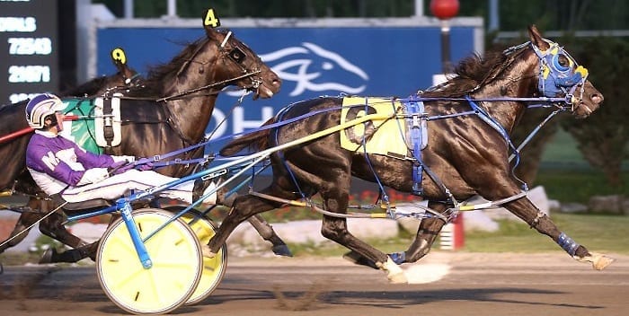 Betting Line (David Miller) won what was believed to be the tougher of the two Pepsi North America Cup eliminations with a 1:49.1 effort Saturday at Mohawk | New Image Media
