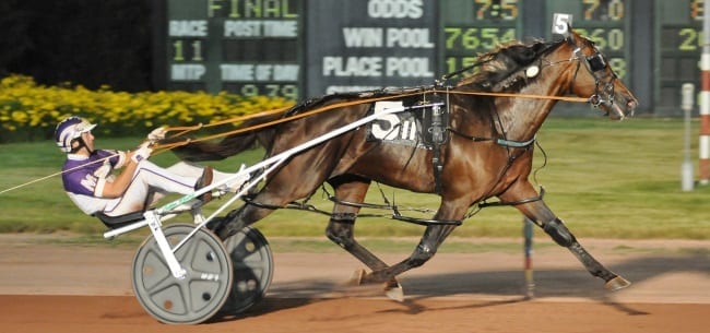 Always B Miki (David Miller) equalled the 1:47 five-eighths mile track world record while winning his Ben Franklin elimination | Curtis Salonick