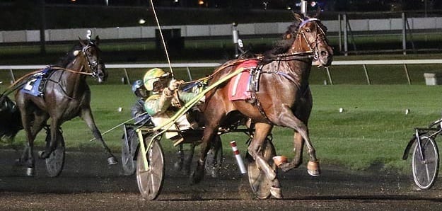 Corey Callahan orchestrated a 38-1 upset with Side Bet Hanover in one of two Hambletonian Oaks eliminations Saturday at the Meadowlands | Michael Lisa 
