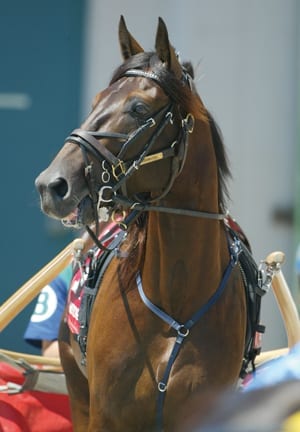Glidemaster was primed and ready in the 2006 Hambletonian | Claus Andersen