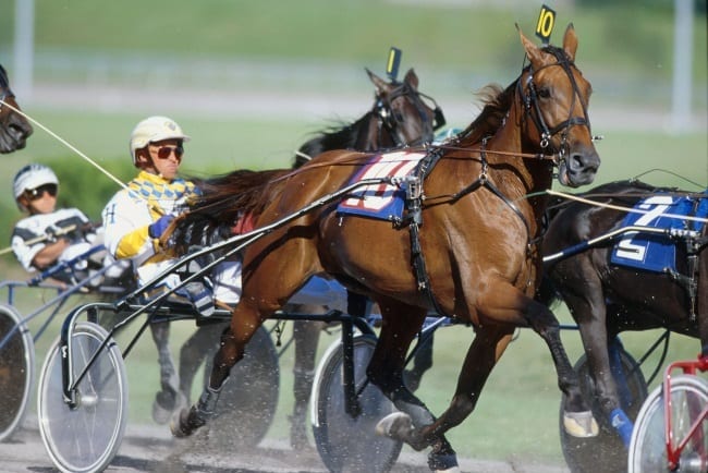 Moni Maker (Wally Hennessey) tops the Curmudgeon’s list of greatest female trotters of all time. | Dave Landry
