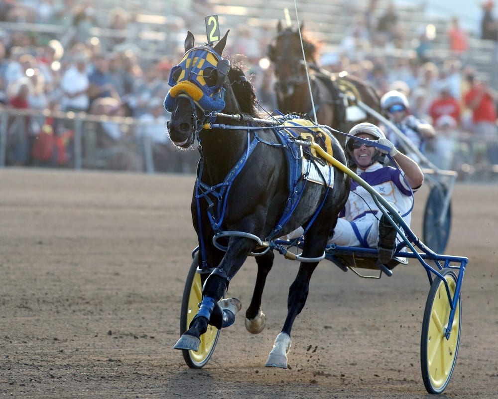 Betting Line and David Miller dominated this year’s Little Brown Jug. |  Dave Landry