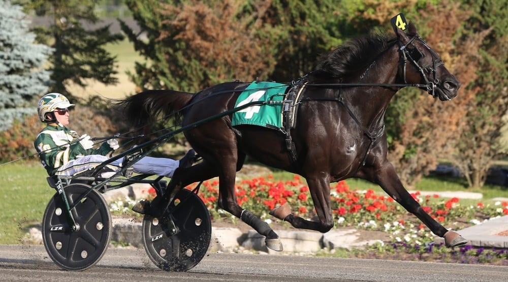 Hannelore Hanover and Yannick Gingras are hoping to beat the boys in Saturday’s Yonkers International Trot. | New Image Media