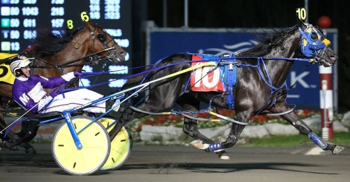 Betting Line (David Miller) was expected to be the favorite in his Breeders Crown division until being forced to scratch Saturday night due to a suspected spider bite. | New Image Media