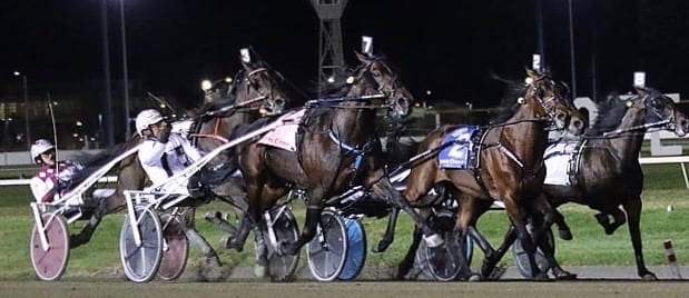 Yannick Gingras drove Lady Shadow to victory. | Michael Lisa