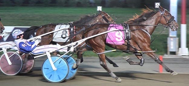 Call Me Queen Be pulled off the 12-1 upset to give driver Scott Zeron his first Breeders Crown. | Michael Lisa