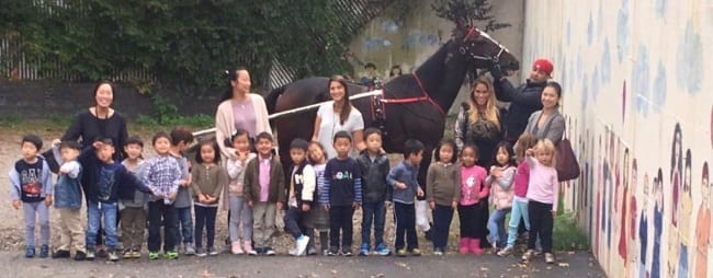 Jennifer Dalton entertained her daughter Reign’s grade school class on Thursday by bringing gelded pacer Somewhere With You to meet the kids. | Courtesy Jennifer Dalton