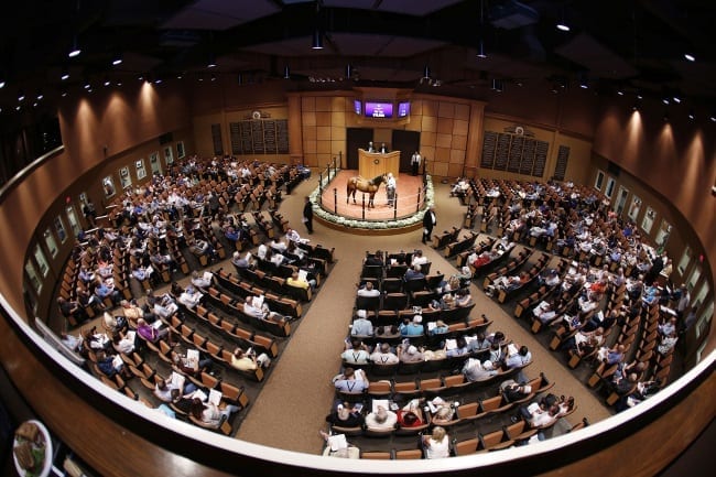 It was a busy, profitable night at Fasig-Tipton with 29 yearlings selling for $100,000 or more. | Dave Landry