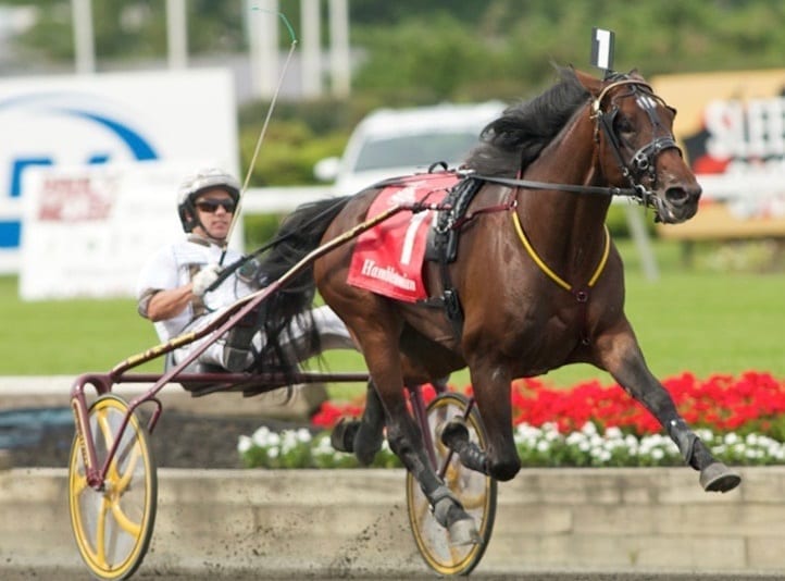 No surprise, Muscle Hill (shown winning the 2009 Hambletonian with Brian Sears at the controls) led all trotting sires at the Lexington sale by a wide margin. | Dave Landry
