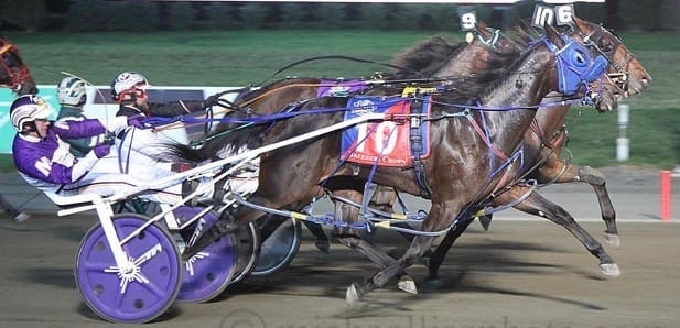 When Someomensomewhere won a four-horse win photo in the rookie pacing filly division it gave driver Marcus Miller his first Breeders Crown victory. | Michael Lisa