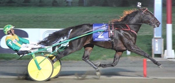 Walner (Tim Tetrick) was a dominant favorite in the freshman trotting colt division. | Michael Lisa