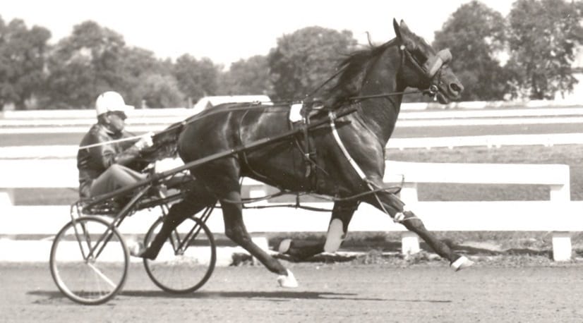 Bret Hanover at The Red Mile before his 1:53.3 time trial in 1966. | Courtesy Dean Hoffman