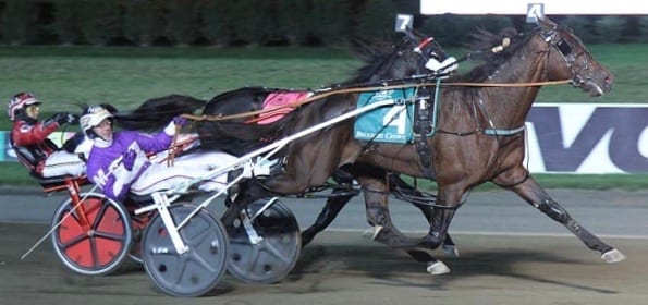 Always B Miki (David Miller) won a terrific stretch battle with Wiggle It Jiggleit (Montrell Teague) to take a slight edge in the season series between the two older pacers. | Michael Lisa