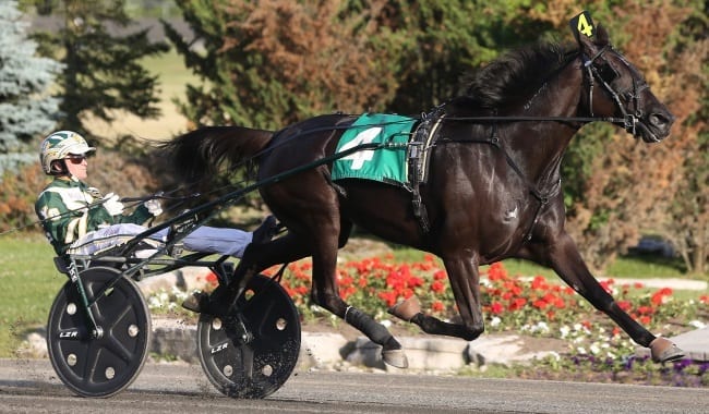 Hannelore Hanover (Yannick Gingras) appears to be a lock to win the older trotting mare division title. | New Image Media