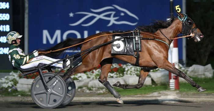 Ariana G (Yannick Gingras) should be a locked to be named the top two-year-old filly trotter of 2016. | New Image Media