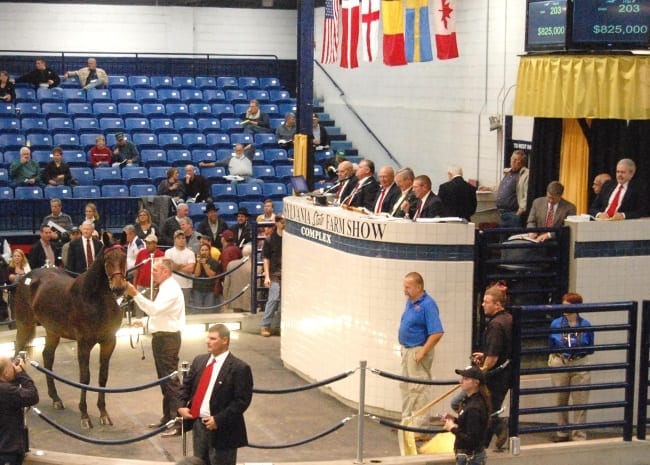 Standardbred Horse Sales Company's yearling sale kicks off Monday in Harrisburg, PA with a select session of the very best 175 yearlings. | Dean Hoffman