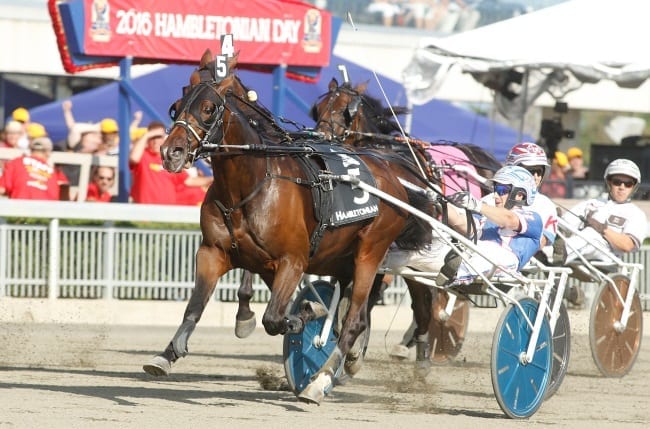Trotting Triple Crown winner Marion Marauder (shown winning the Hambletonian with Scott Zeron) scoped sick after finishing last in last Saturday's Breeders Crown final for three-year-old trotting colts. | Dave Landry
