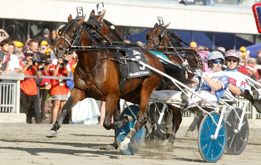 Trotting Triple Crown winner Marion Marauder (shown winning the Hambletonian with Scott Zeron driving) has been retired and will stand at Tara Hills Stud in Ontario. | Dave Landry