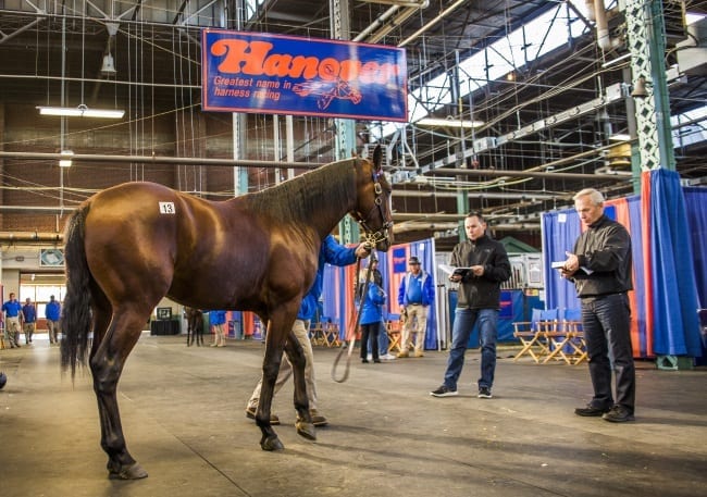 Hanover Shoe Farms led all consignors with gross sales of more than $10 million. | Ryan Randolph