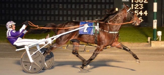 Pure Country (Brett Miller) was one of four sophomore Matron winners Thursday at Dover Downs. | FotoWon
