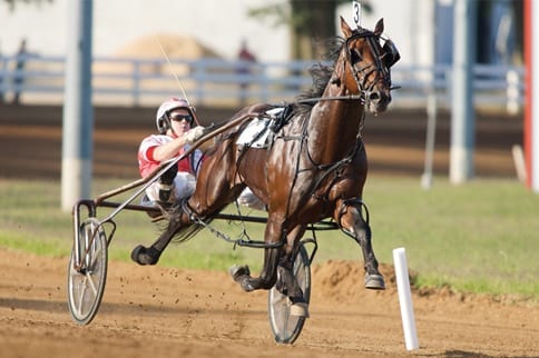 Somebeachsomewhere (with Paul MacDonell) continued his siring dominance at Harrisburg. | Dave Landry