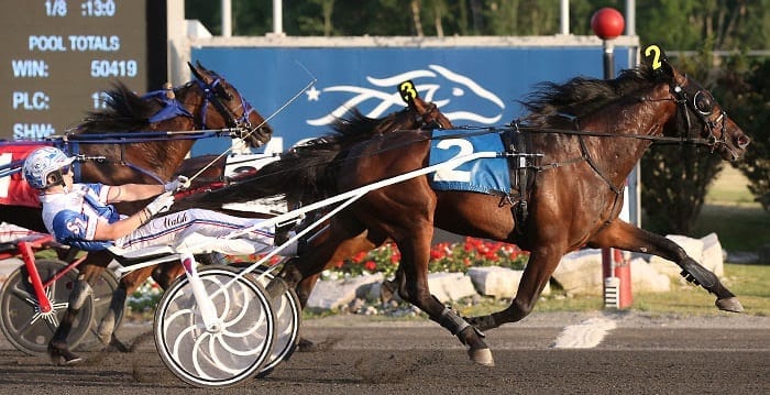 Trotting Triple Crown winner Marion Marauder (Scott Zeron) edged Hannelore Hanover by one vote in the closest Trotter of the Year contest in the award's 46-year history. | New Image Media