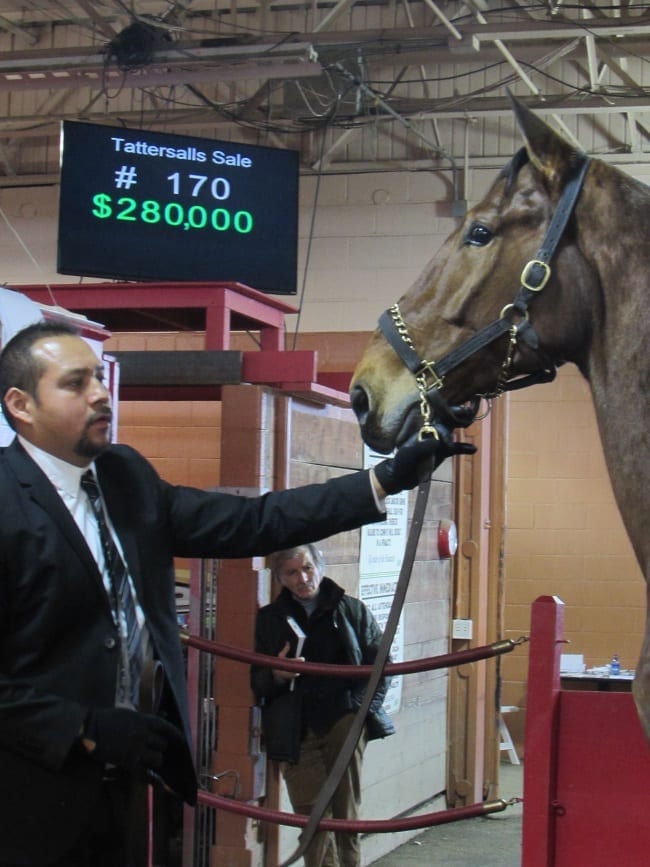 The sale topper was Dr J Hanover, who fetched $280,000 from Tony Alagna to dissolve a partnership.