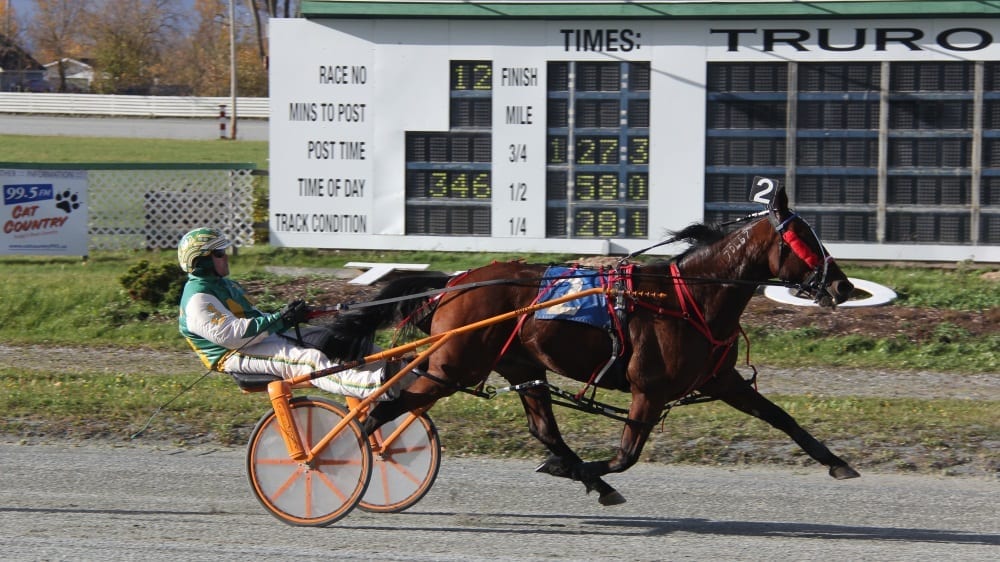 Surrealist (winning at Truro Raceway with special guest driver Jody Jamieson in the bike) won 19 of his 31 starts to tie the seasonal North American record for wins in a season. | Kyle Burton