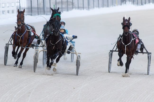 Winter racing at Western Fair often has its share of weather-related challenges, but a sudden thaw brought on by rain and unseasonably warm temperatures is unheard of for January. | Dave Landry