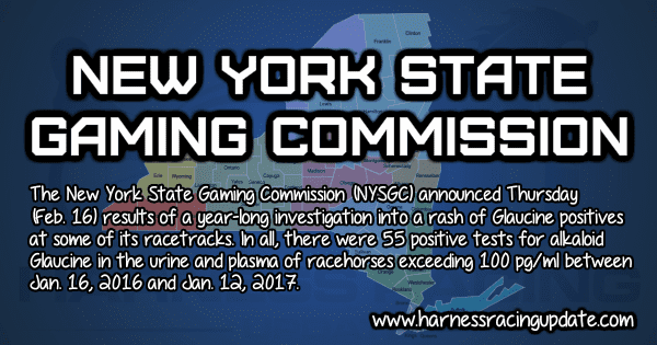 New York Gaming Story