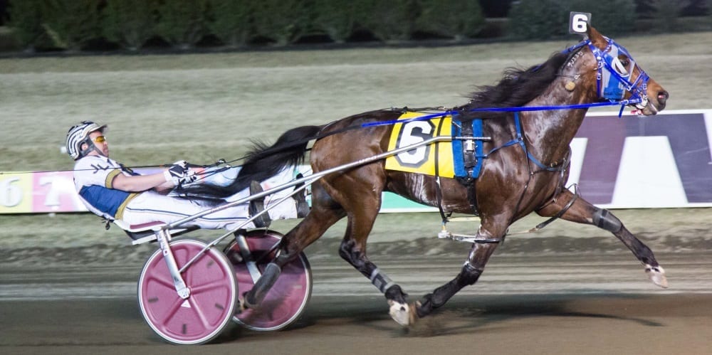 New York Yankees assistant equipment manager Joe Lee (shown winning a race with Karets at the Meadowlands in February) has been on fire as an amateur driver, winning 17 races since 2015. | Michael Lisa 