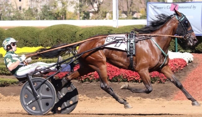 Heading into her sophomore season, the 2016 Dan Patch and O'Brien Award winner Ariana G (Yannick Gingras) is the one to beat in the three-year-old trotting filly class | Mark Hall / USTA