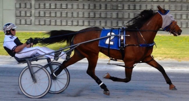 Master Clave (Ross Wolfenden) won the $100,000 DSBF sophomore male trot on Monday at Dover Downs | Foto Won