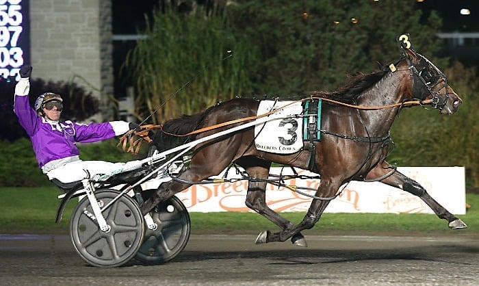 Meanwhile Brett Miller (shown winning his first Breeders Crown in 2015 with Pure Country at Woodbine) has taken a long and winding road to the top | New Image Media