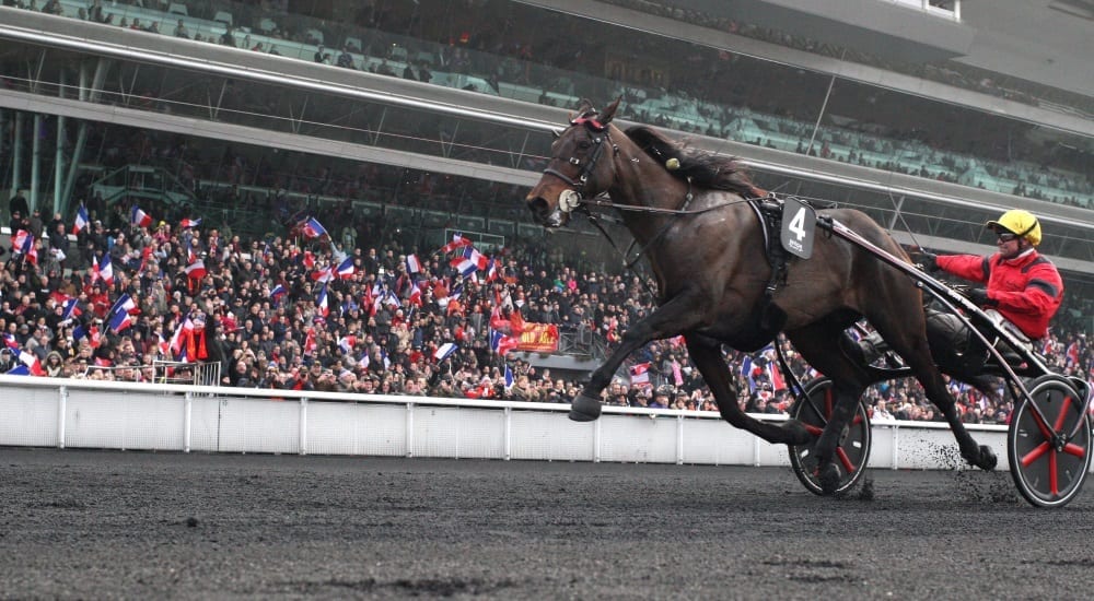 French Triple Crown champion Bold Eagle and driver Franck Nivard have drawn post five in the first heat of next Sunday's Elitlopp | Gerard Forni