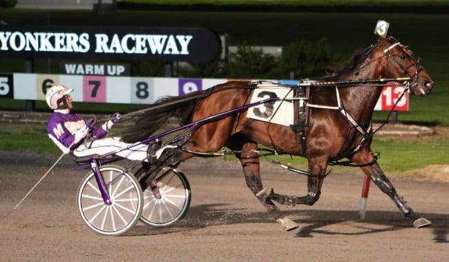 A week after a minor scare, Downbytheseaside and David Miller dominated the $340,000 final of the Art Rooney at Yonkers | Mike Lizzi