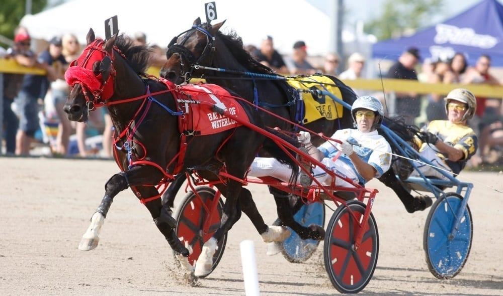 Macintosh said Sports Column (Chris Christoforou, winning the 2016 Battle of Waterloo at Grand River Raceway) has the gate speed to get into the mix in Saturday's NA Cup | Dave Landry