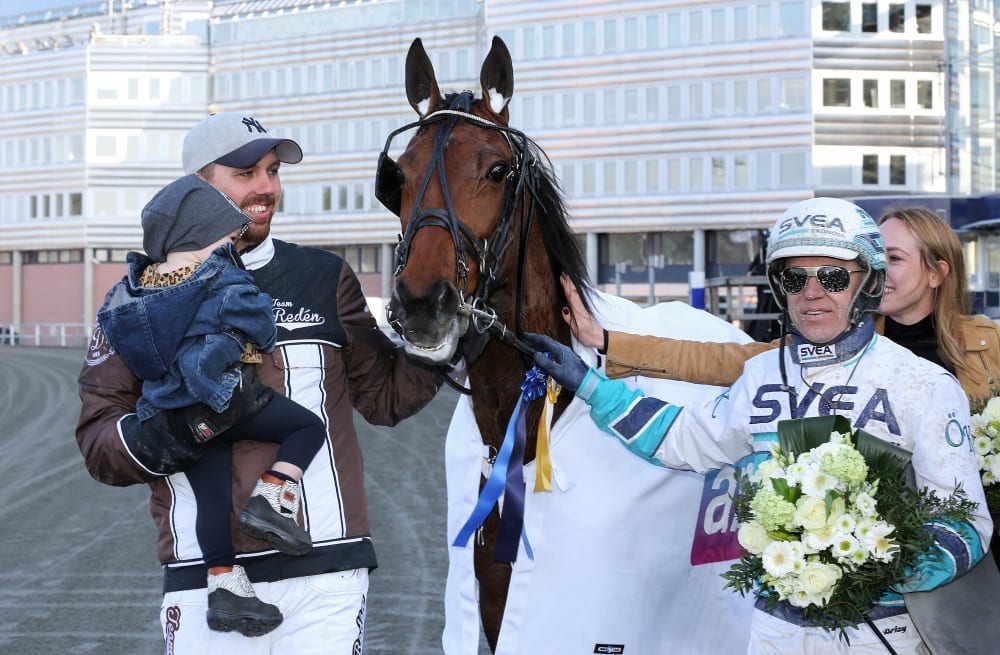 
Delicious has been one of the most popular horses both in Team Reden's barn in Sweden and with European trotting fans. The Cantab Hall mare was retired from racing this week due to a serious stomach ailment | Jeannie Karlsson/Sulkysport