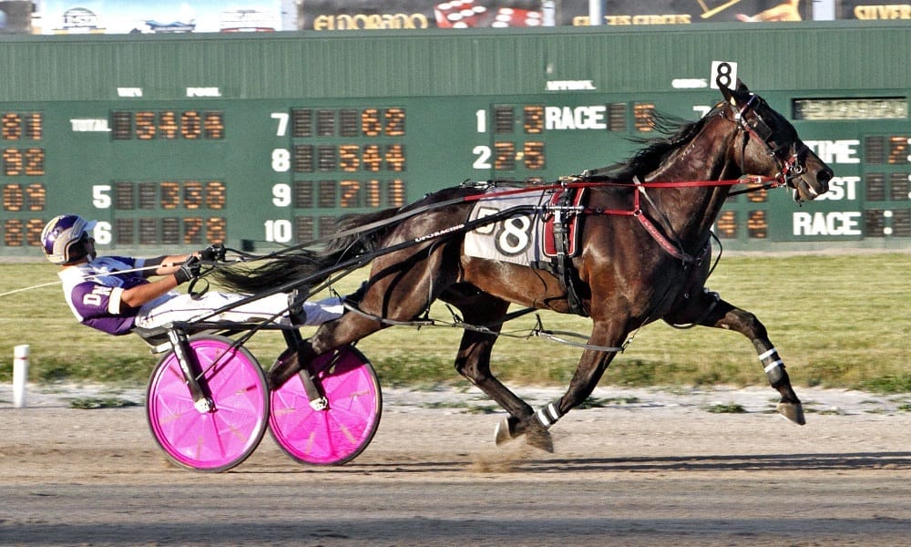 Drunk On Your Love established a new lifetime mark of 1:51.2 at Scioto Downs on June 10. The Foreclosure N gelding leads the Ohio Sire Stakes points standings after two legs | Brad Conrad