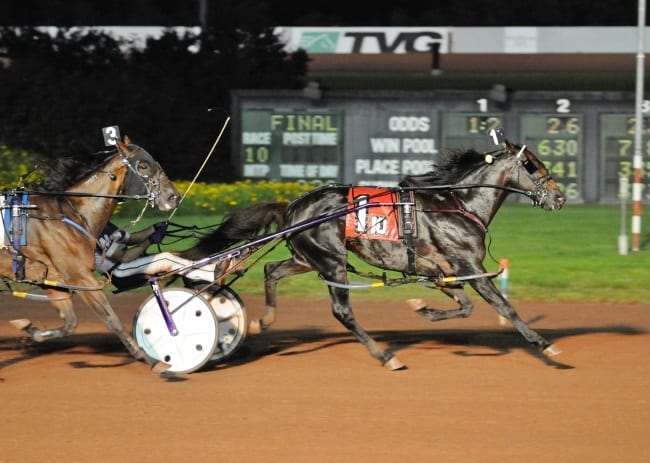 Fear The Dragon and David Miller winning the $500,000 Max Hempt Memorial Saturday in 1:49.3 | Curtis Salonick