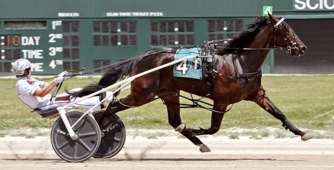 Letsallrock sets a new Scioto Downs track mark of 1:52.2 in the first leg of the Ohio Sire Stakes on Independence Day | Conrad Photos
