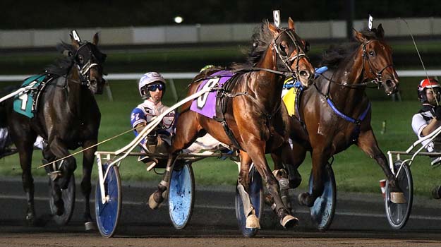 Despite being parked the entire mile out of post nine, Marion Marauder and Scott Zeron were impressive winning the $240,000 Graduate Final for 4-year-old trotters at the Meadowlands Saturday in a career best 1:51.2 | Michael Lisa