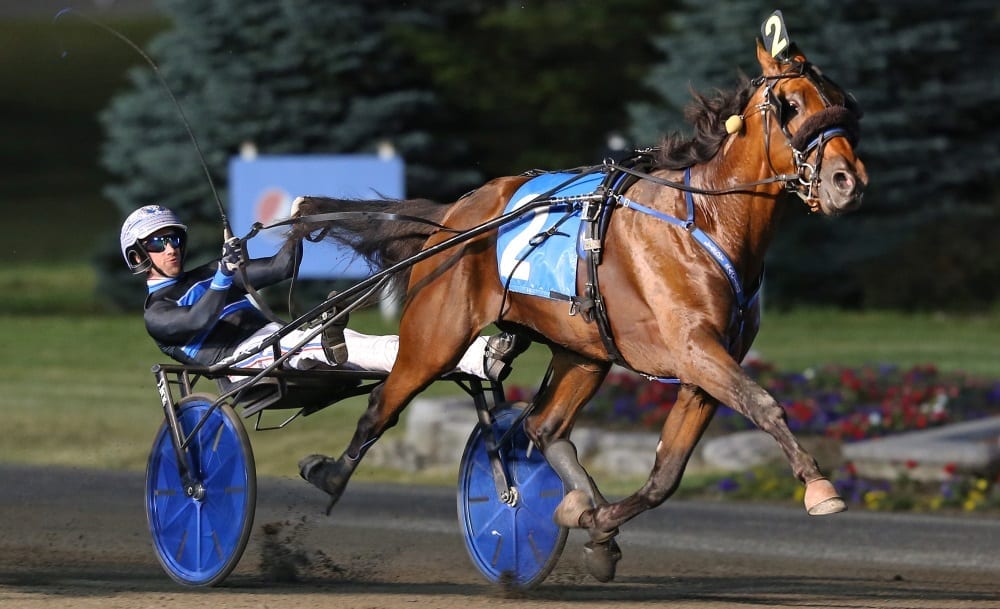 
International Moni (Scott Zeron wearing Lindy Farms colors) has been installed as the favorite in the second elimination Saturday for the $1.2 million Hambletonian | Claus Andersen