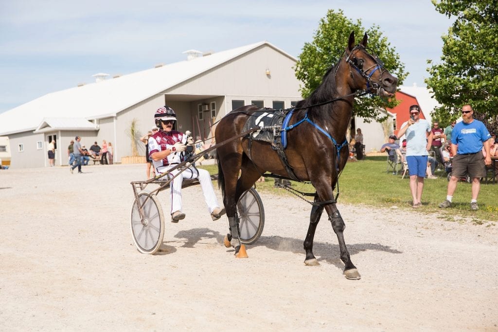 John Campbell heading to the Clinton track with trotting mare Happy Holidays for his final drive | Dave Landry