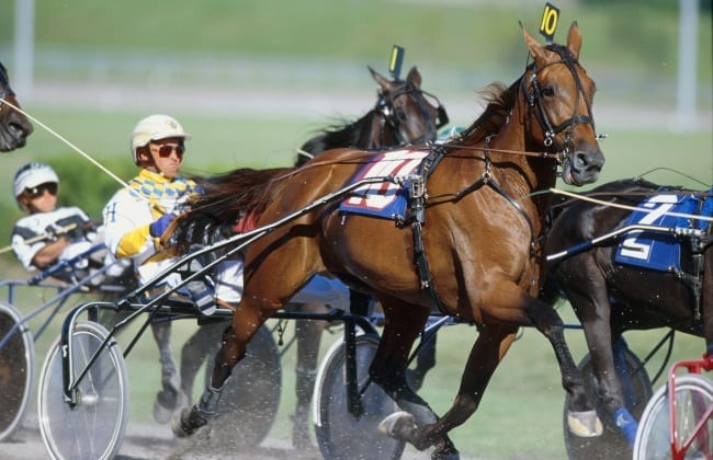 Among the star-studded pedigrees is the late, great Moni Maker (with Wally Hennessey in their last pari-mutuel start together in Montreal), the dam of favorite International Moni | Dave Landry