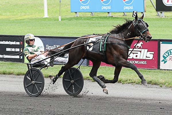 High-priced yearling You Know You Do (Yannick Gingras) dominated the Peter Haughton Memorial | Michael Lisa