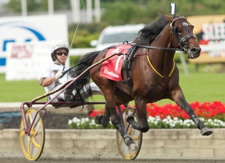 Brian Sears (winning the Hambletonian with Muscle Hill) said Yonkers is just 20 minutes from his house and provides the best purses in the land | Dave Landry